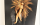 Linde